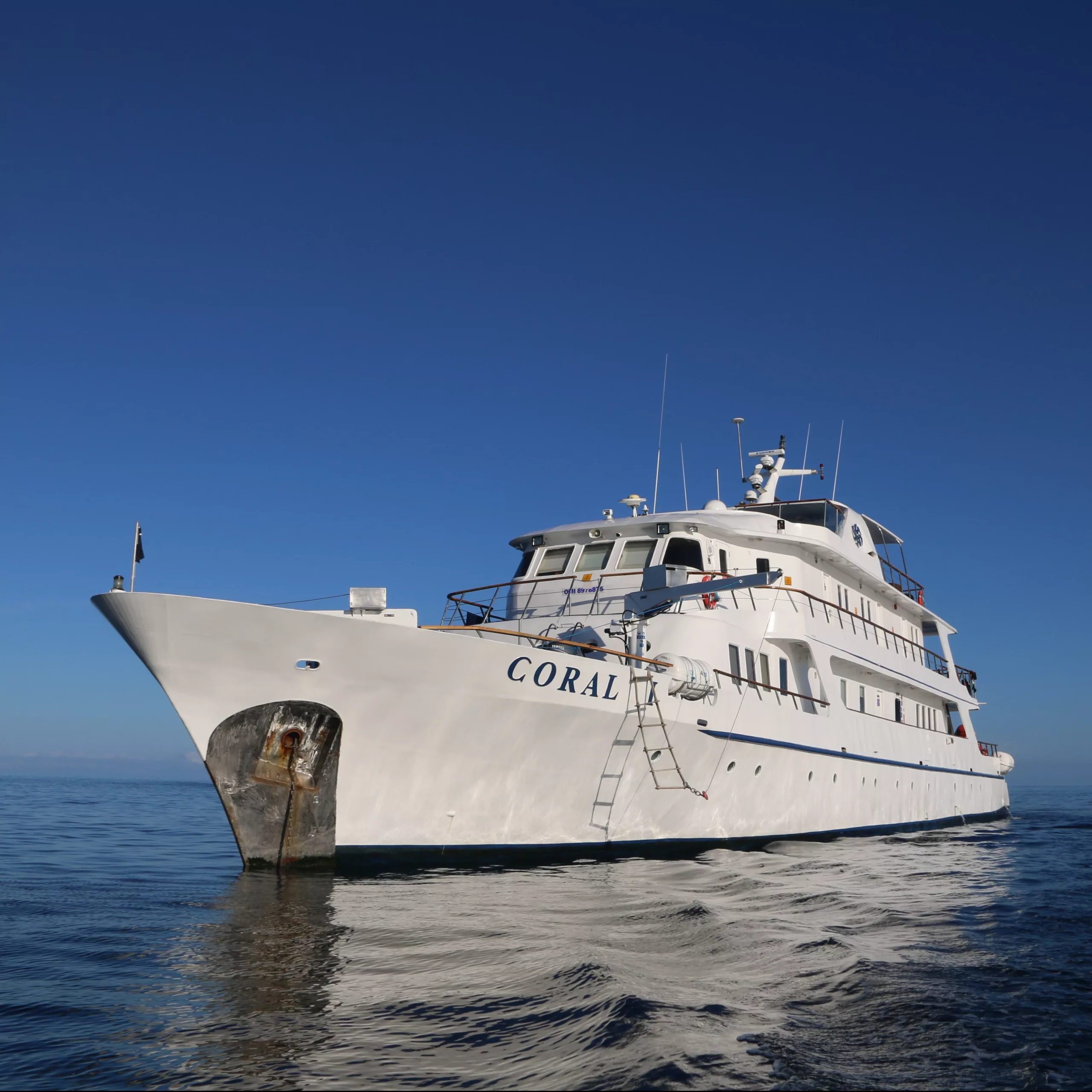 Galapagos Kreuzfahrt reisebuerogmuend